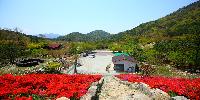 흑석산철죽축제 (6).jpg