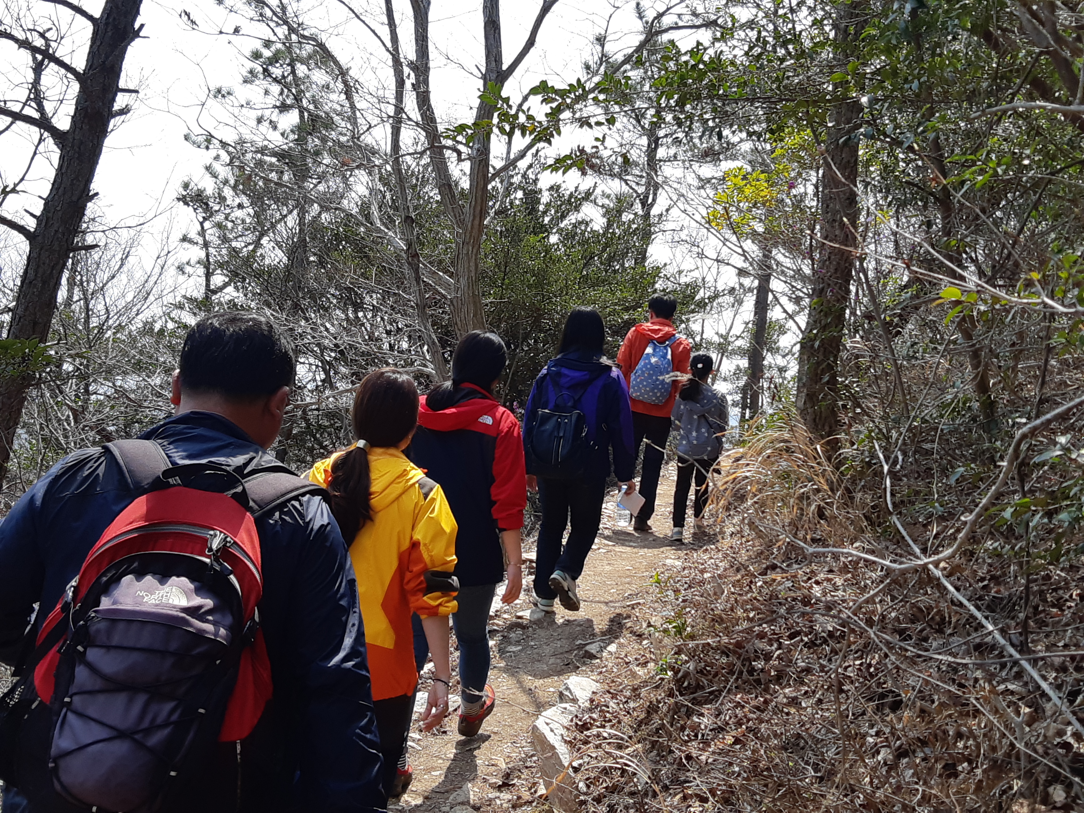 달마고도 힐링축제 참여 및 직원 등산 대회1