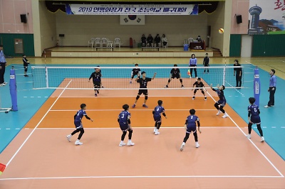 2019 연맹회장기 전국 초등학교 배구대회